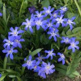 Projekte und Perspektiven 2021